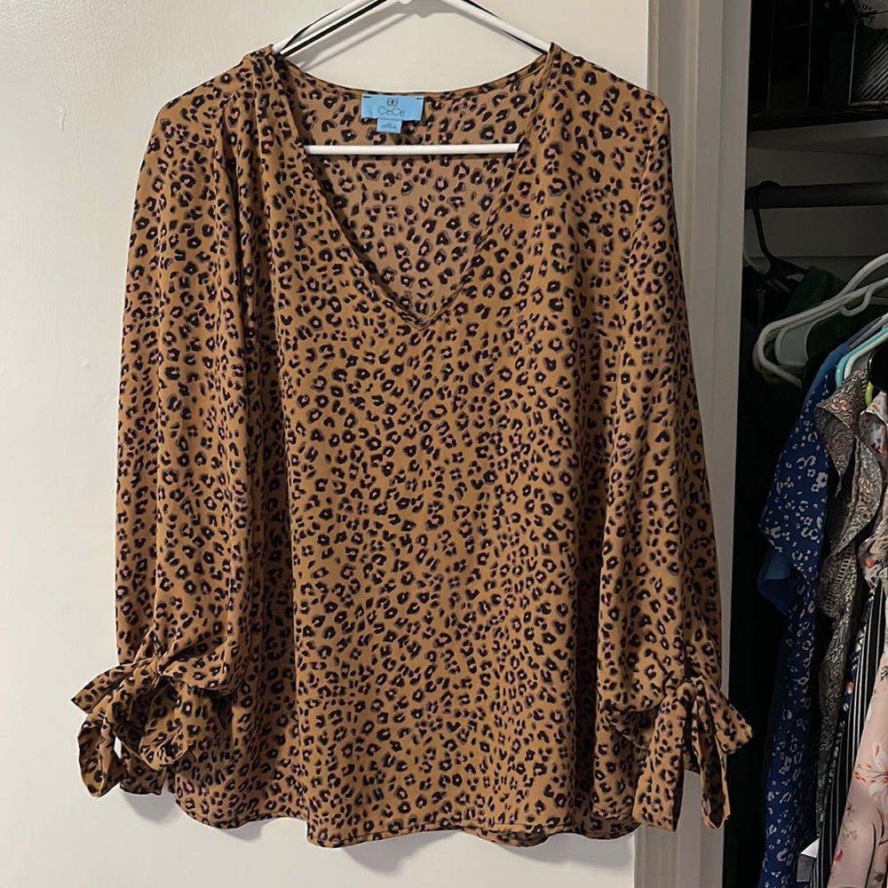 Animal Print Long Sleeve Top